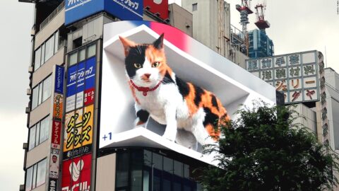 The Fascinating World of 3D Billboards: How they Captivate Audiences